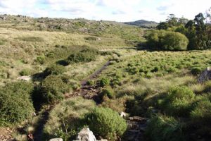 Sierra del Tigre - Reserva Natural Tandil