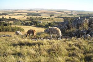 Sierra del Tigre - Reserva Natural Tandil